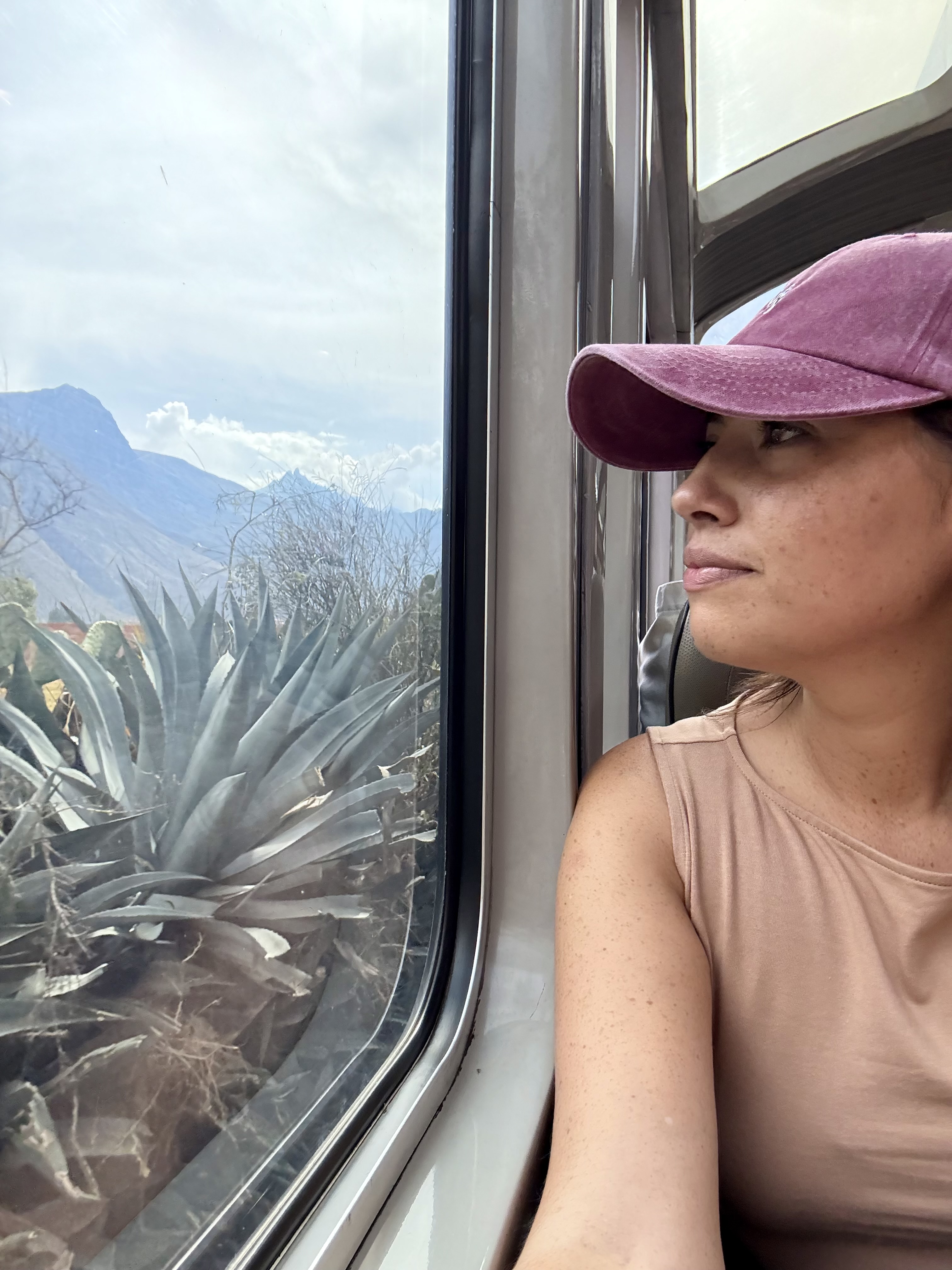 woman sitting in profile, wearing a baseball cap, looking out of a train window with mountains in the distance and an agave plant