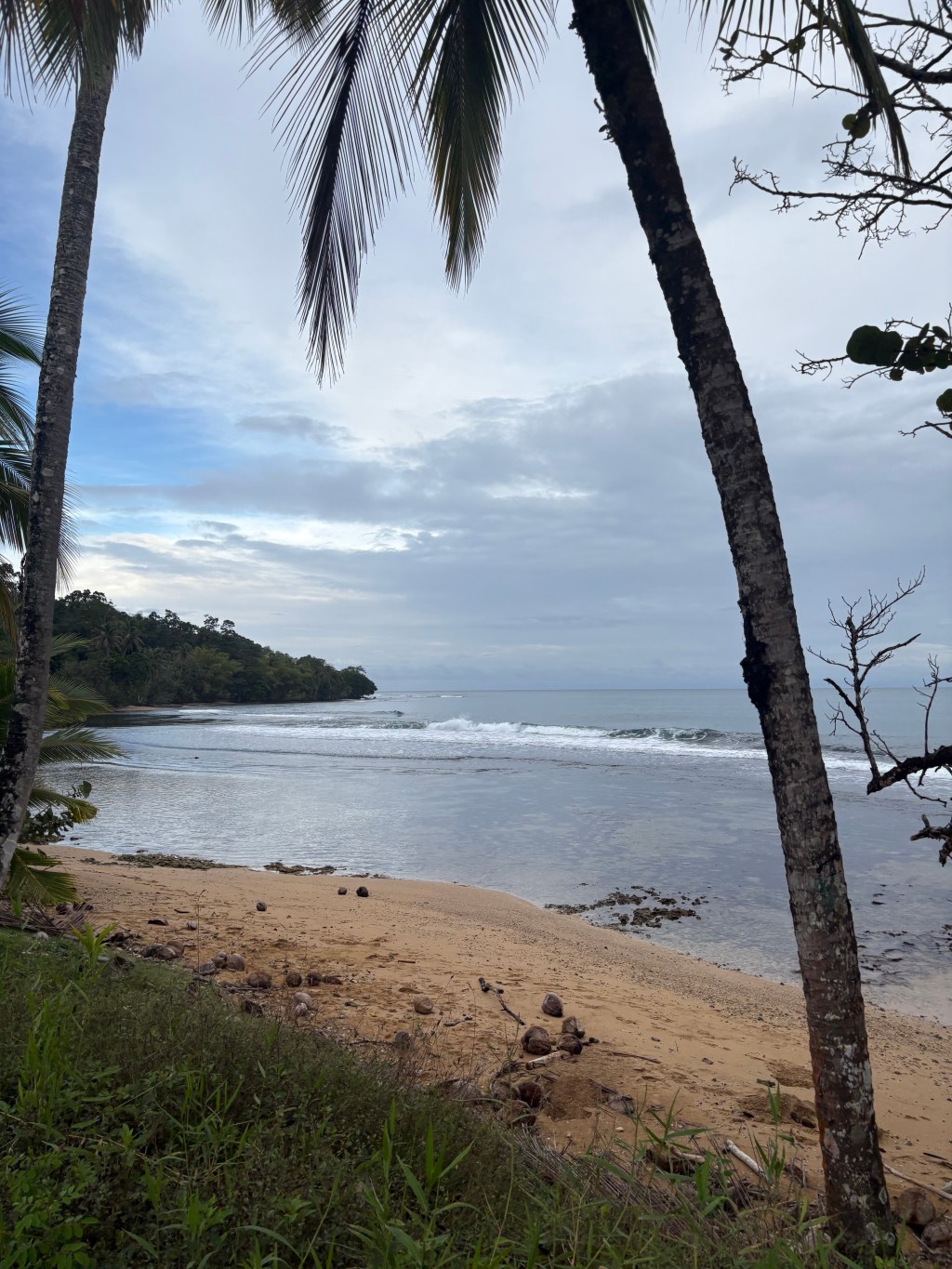 On Island Time: Bocas del Toro,&nbsp;Panama